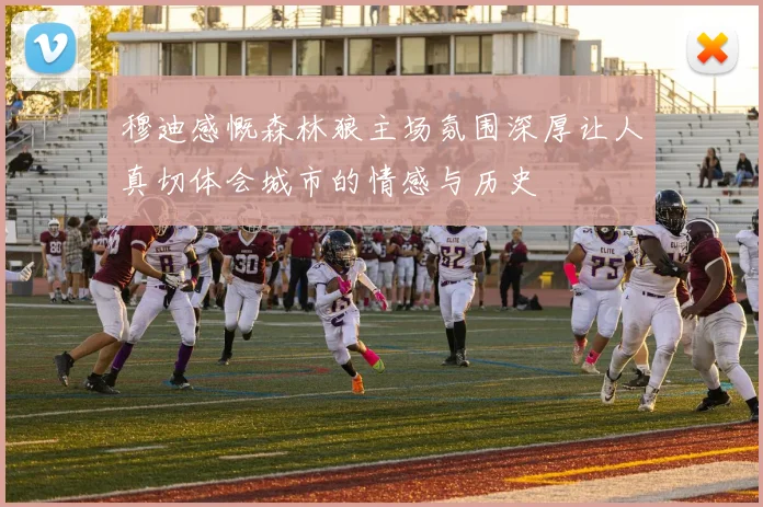 穆迪感慨森林狼主场氛围深厚让人真切体会城市的情感与历史