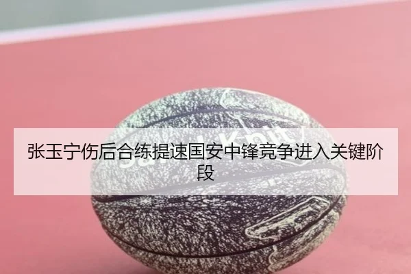 张玉宁伤后合练提速国安中锋竞争进入关键阶段